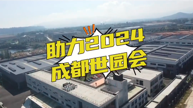 2024年